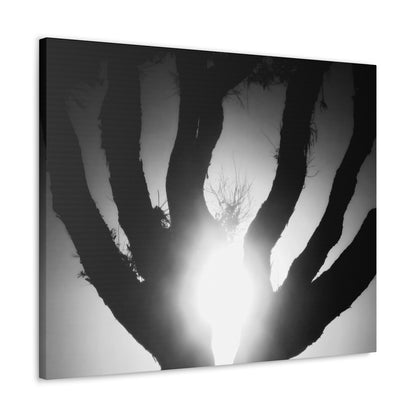 De-Light in the Heart of the Soul - Canvas Photography b/w