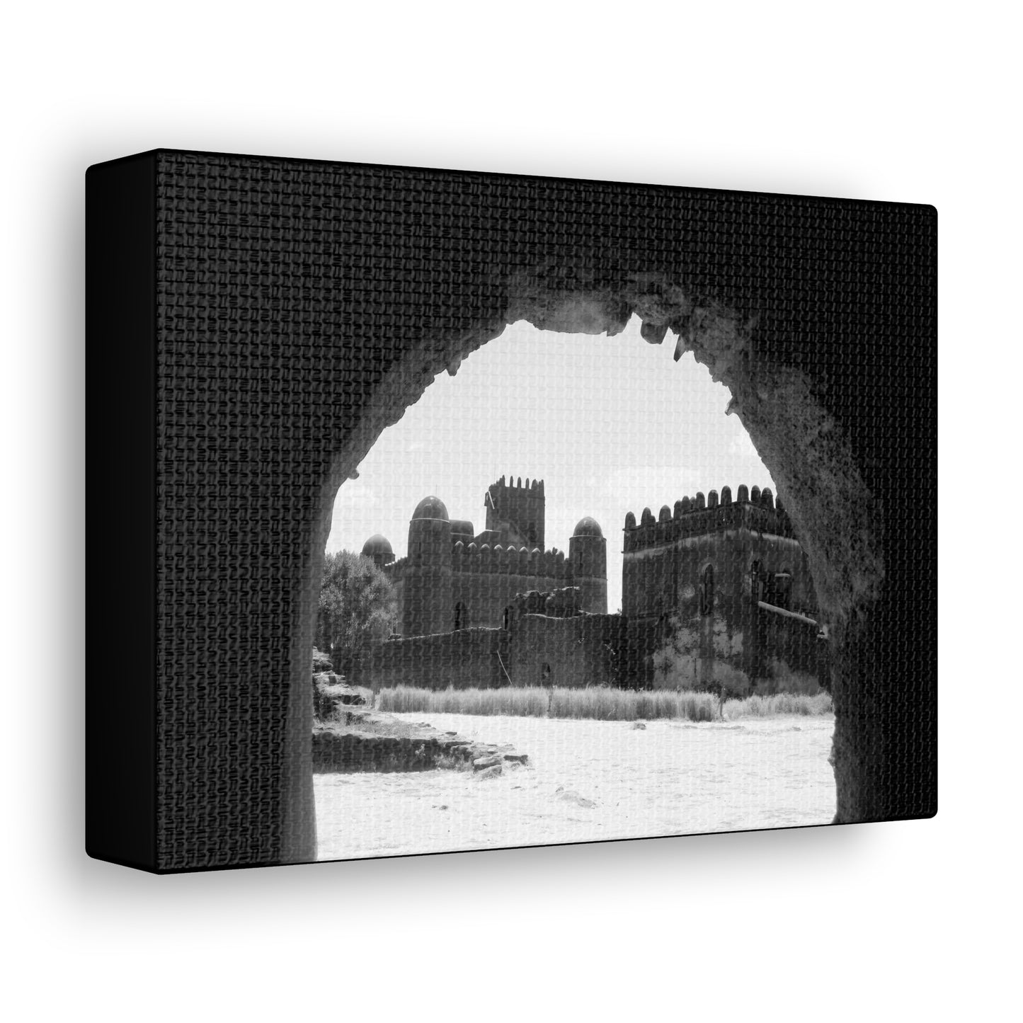 Through the Lion's Jaws - Canvas Photography b&w