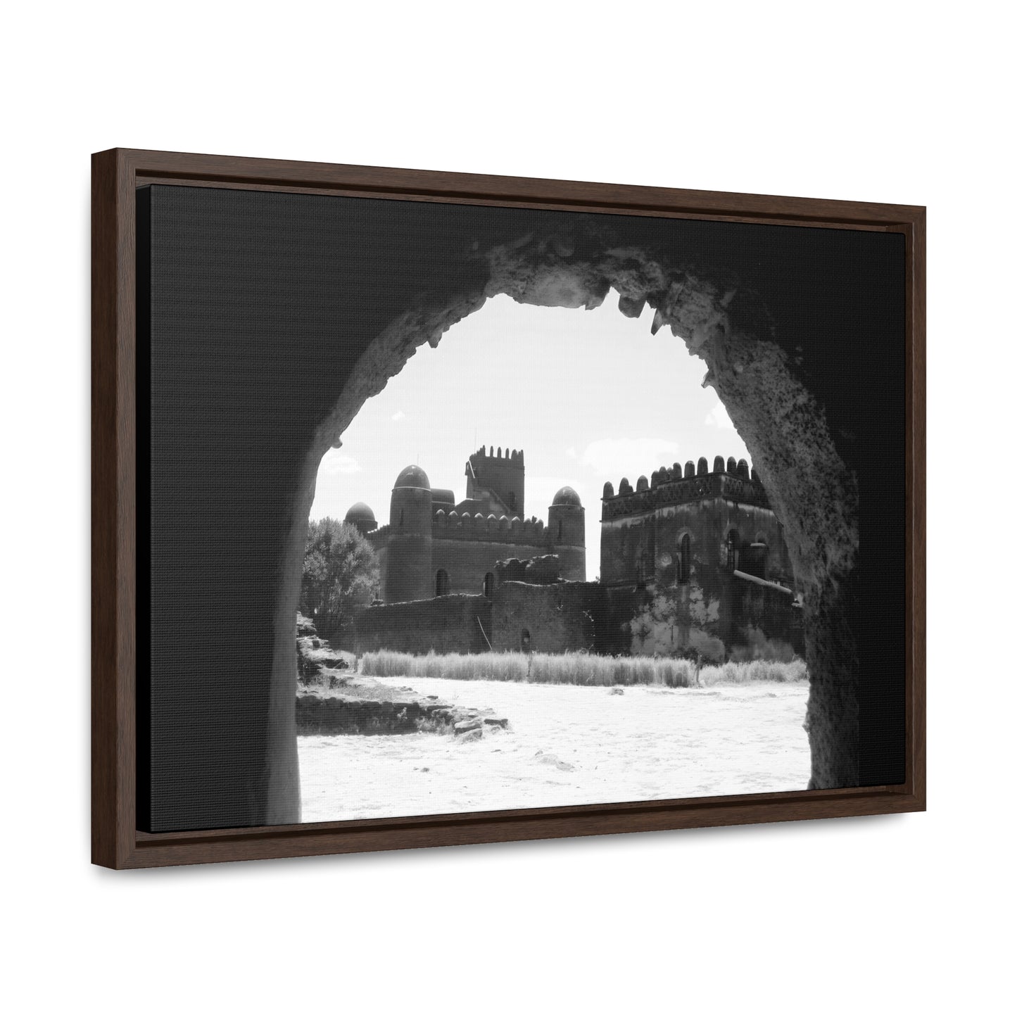 Through the Lion's Jaws - Framed Canvas Photography b&w
