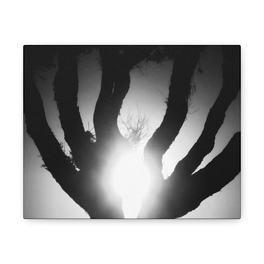 De-Light in the Heart of the Soul - Canvas Photography b/w