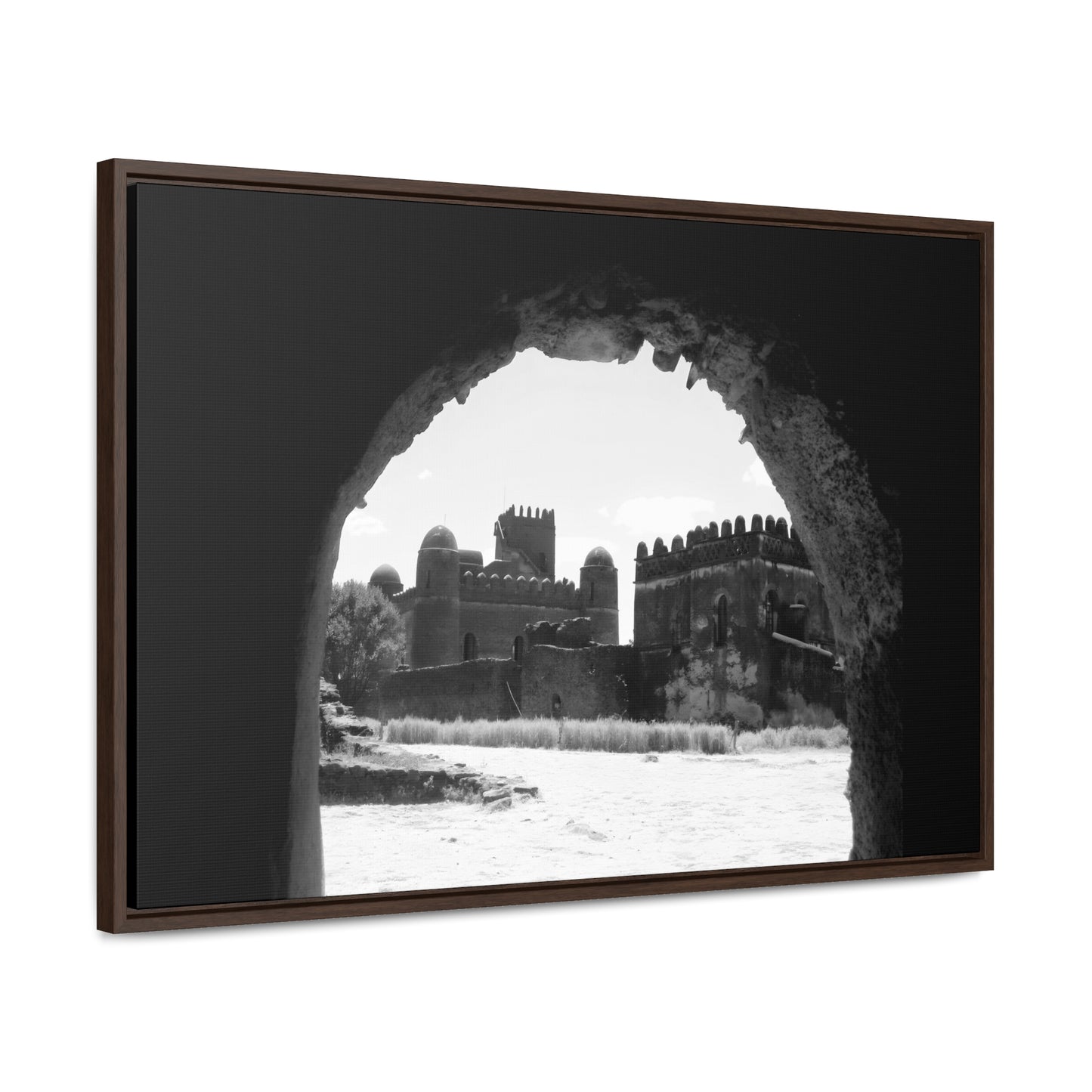 Through the Lion's Jaws - Framed Canvas Photography b&w