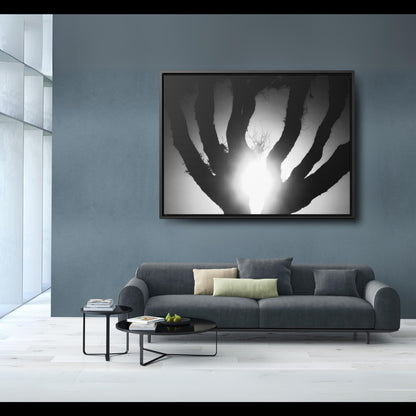 De-Light in the Heart of the Soul - Framed Canvas Photography