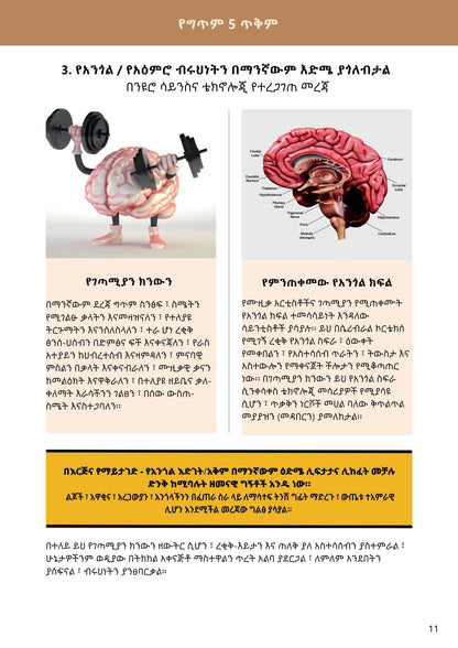 Intro to Writing Poetry in Amharic - Occasions and Benefits