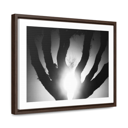 De-Light in the Heart of the Soul - Framed Canvas b&w Photography