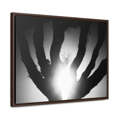 De-Light in the Heart of the Soul - Framed Canvas b&w Photography
