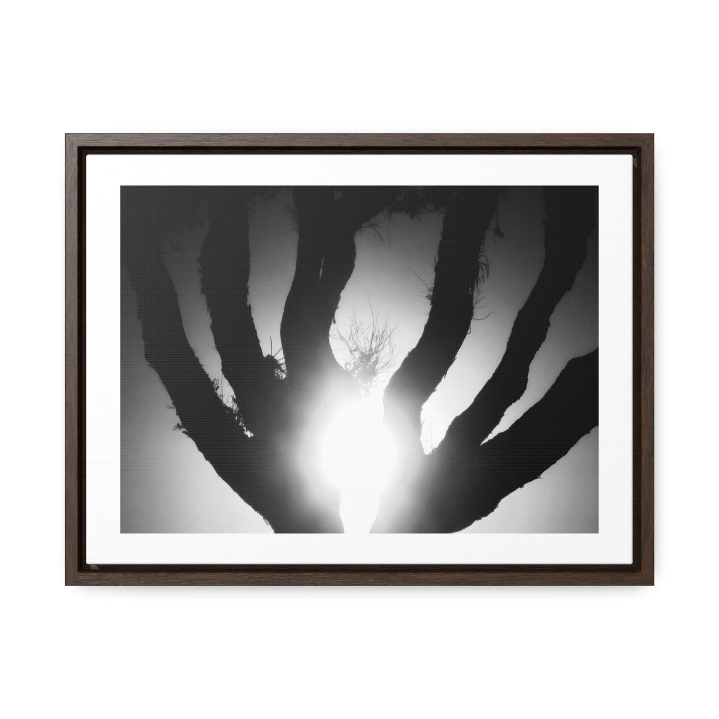 De-Light in the Heart of the Soul - Framed Canvas b&w Photography