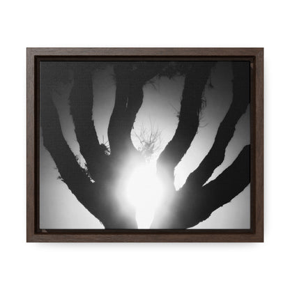 De-Light in the Heart of the Soul - Framed Canvas b&w Photography