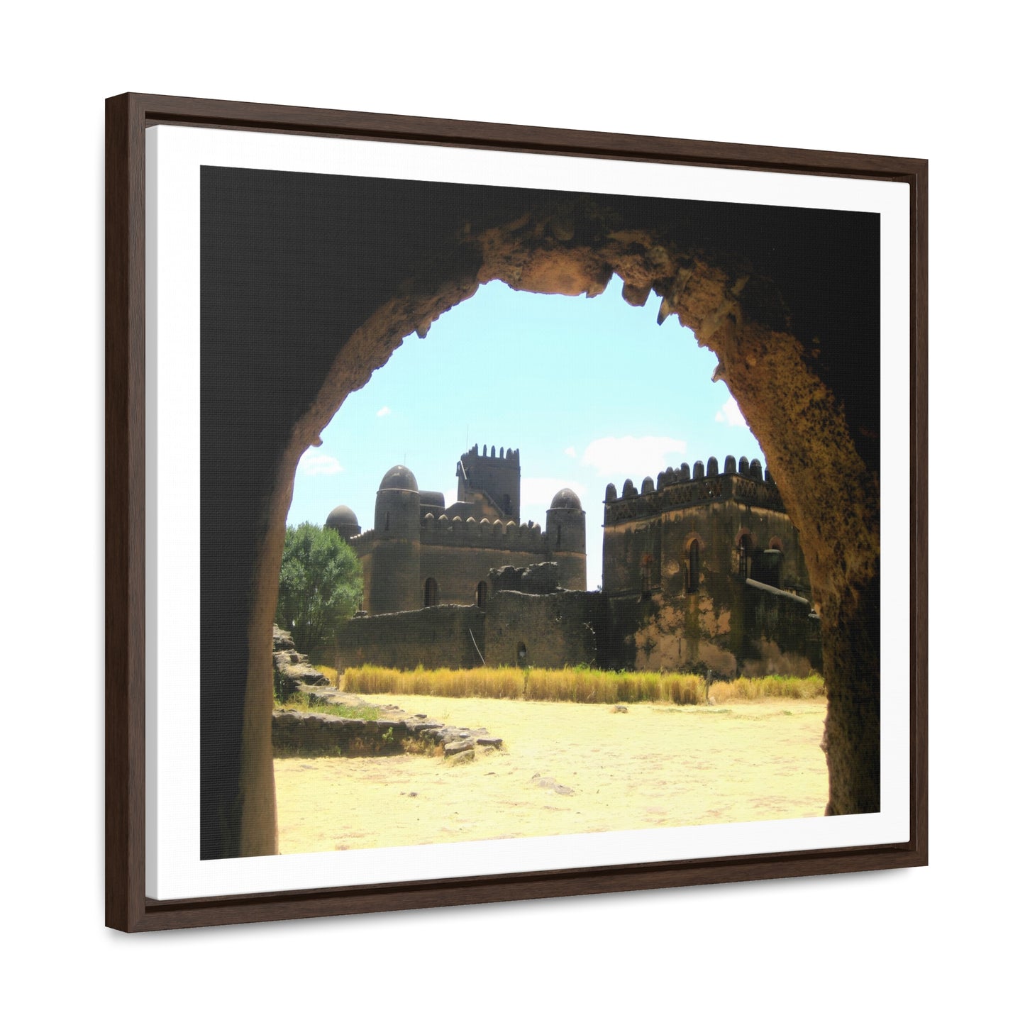 Through the Lion's Jaws - Framed Canvas Photography