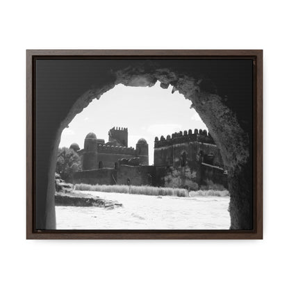 Through the Lion's Jaws - Framed Canvas Photography b&w