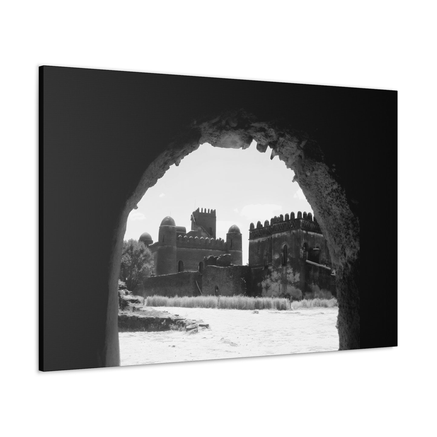 Through the Lion's Jaws - Canvas Photography b&w