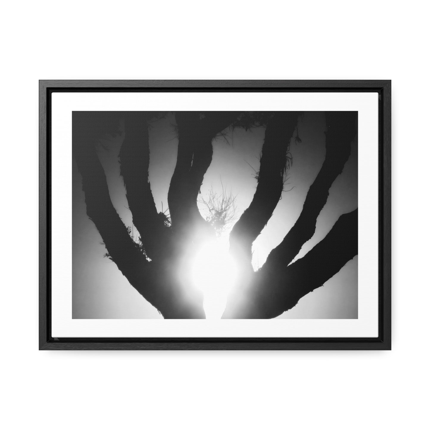 De-Light in the Heart of the Soul - Framed Canvas b&w Photography