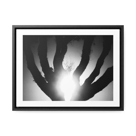 De-Light in the Heart of the Soul - Framed Canvas b&w Photography