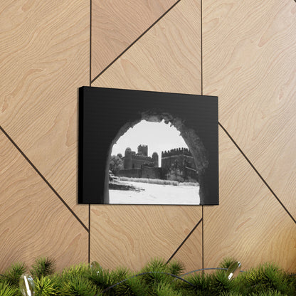 Through the Lion's Jaws - Canvas Photography b&w