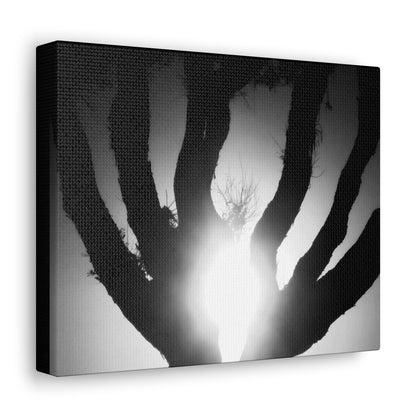 De-Light in the Heart of the Soul - Canvas Photography b/w