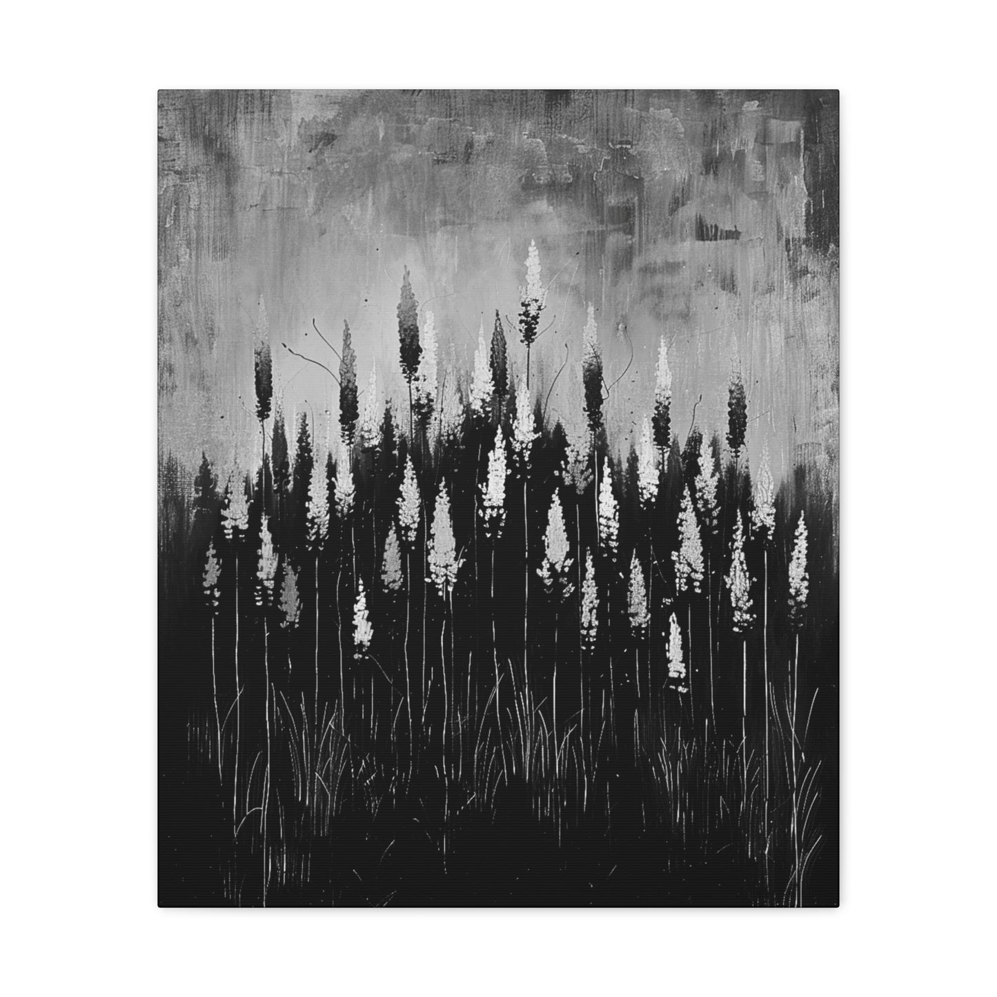 The Calm Before the Bloom - Canvas b&w Wall Art