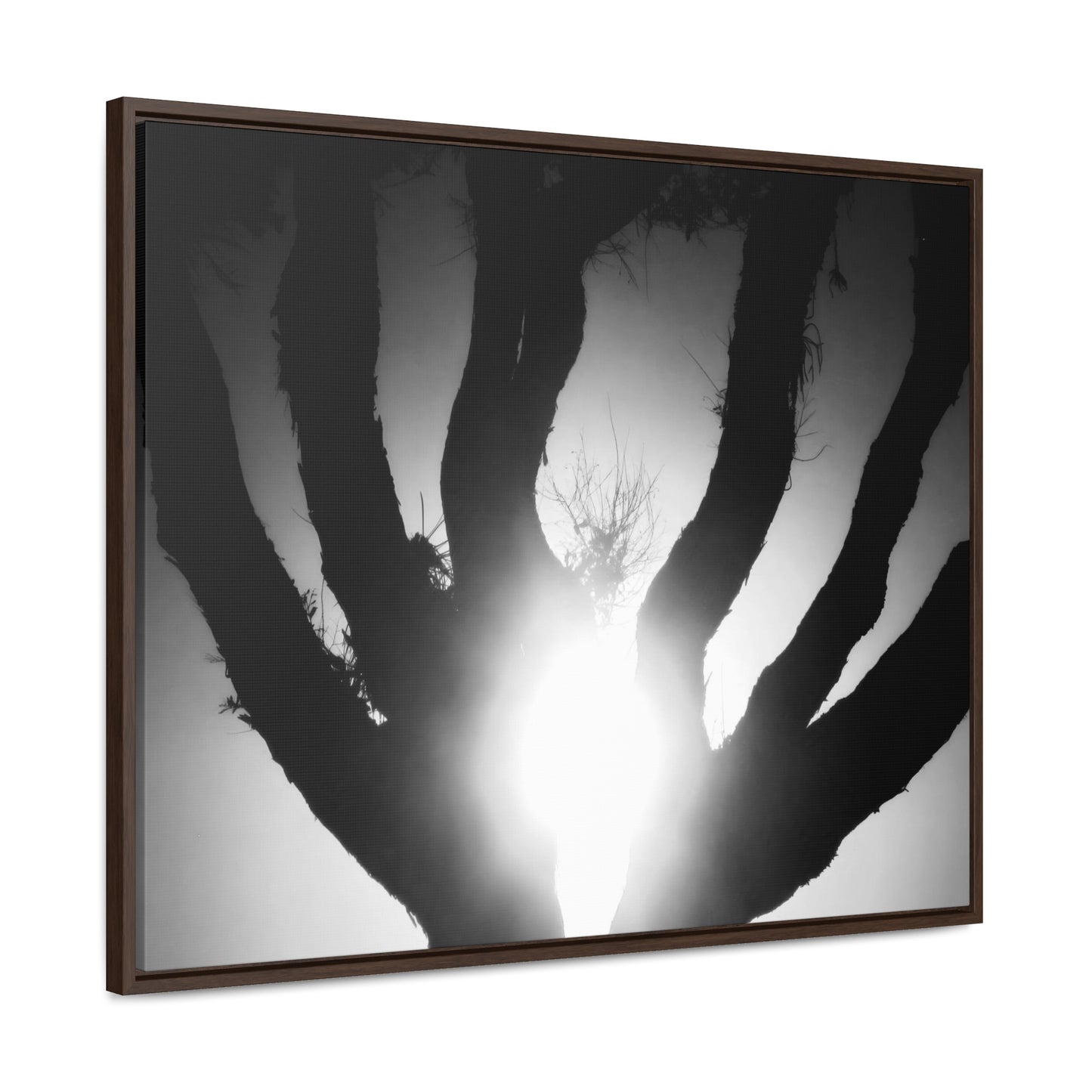 De-Light in the Heart of the Soul - Framed Canvas b&w Photography