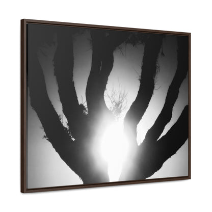 De-Light in the Heart of the Soul - Framed Canvas b&w Photography