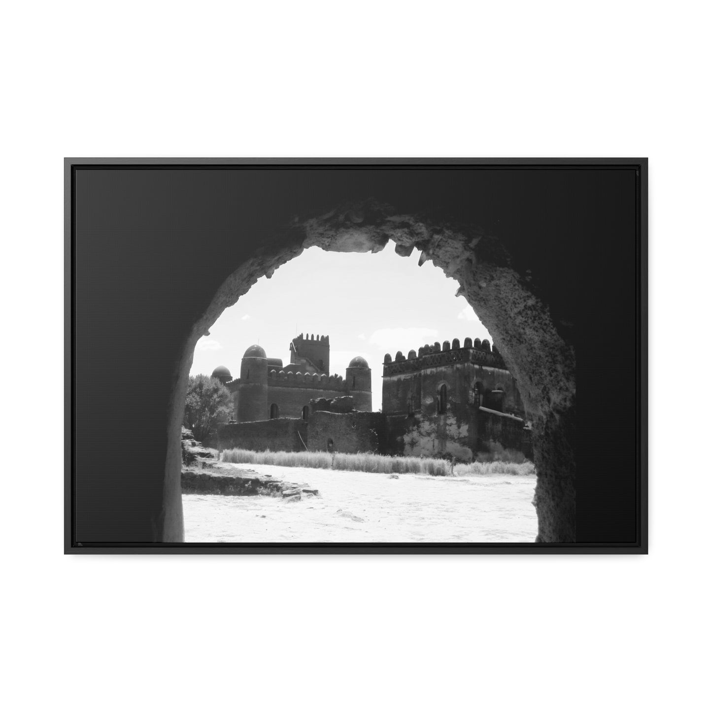 Through the Lion's Jaws - Framed Canvas Photography b&w