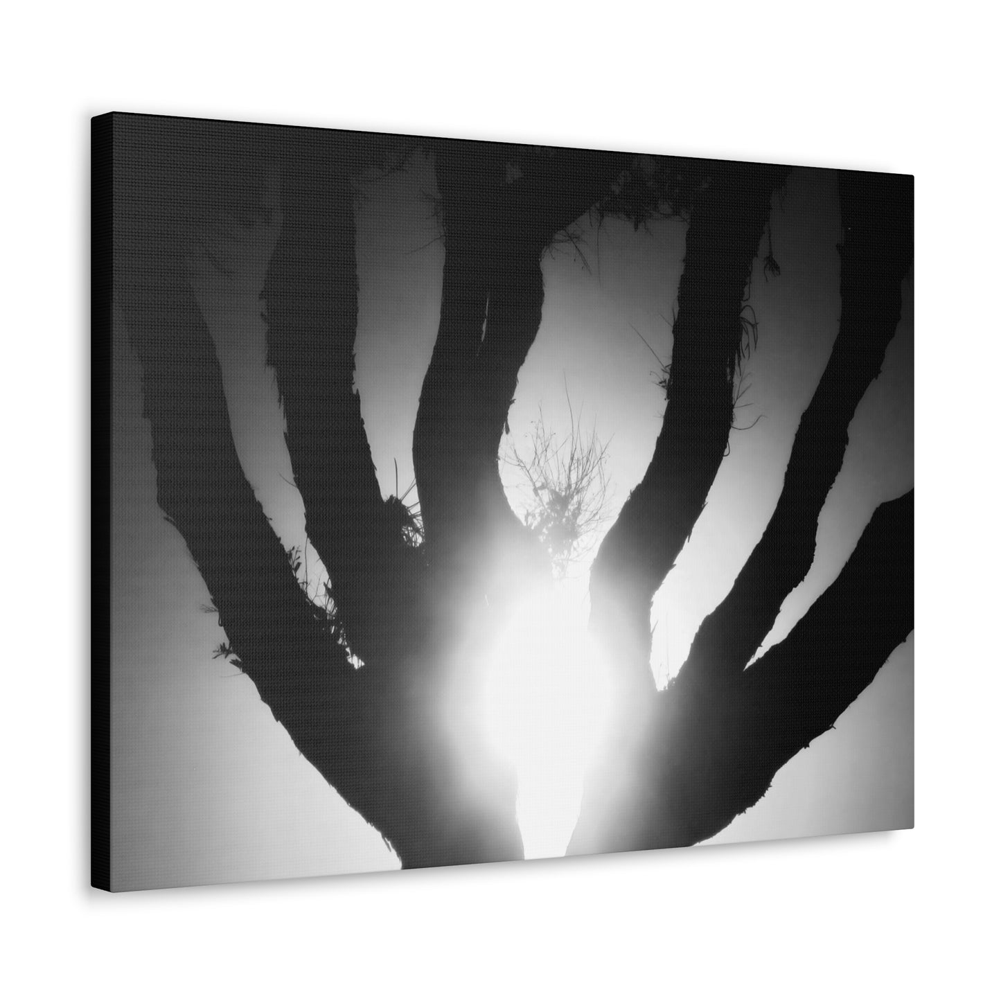De-Light in the Heart of the Soul - Canvas Photography b/w